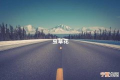 虫草花 虫草花为什么孕妇不能吃