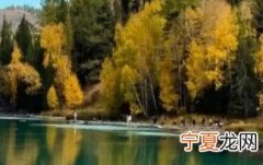 塑料水杯什么材质的比较安全 塑料水杯什么材质的比较安全品牌