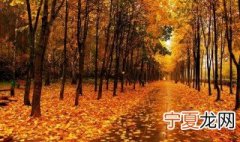 秸秆落叶的科学处理方法 秸秆落叶的科学处理方法有什么