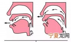 怎么正确发声说话不伤嗓子 如何快速学会正确发声