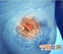 港北甜心烘焙在哪里 乳腺增生结节不能吃那些水果