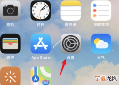 苹果12颜色反转怎么设置，苹果手机字体大小能咋的设置