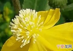 过得怎么样英语 过得怎么样英语怎么说