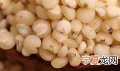 秫米是什么米 关于秫米的介绍