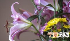 怎么养花店拿回来的鲜花 这些技巧要注意