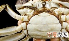 螃蜞 螃蟹与螃蜞的区别