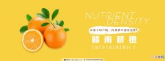 网页播放广告 网页的广告关不掉怎么办