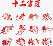 12生肖汉字排名 十二生肖生字
