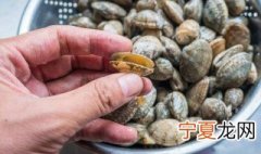 蛤蜊吐沙最快的方法 蛤蜊吐沙的方法介绍