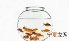 鱼缸消毒要用高锰酸钾泡多长时间 鱼缸消毒要用高锰酸钾泡多长时间好