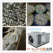 福建哪里有烘焙鱼机器 福建哪里有烘焙鱼机器买