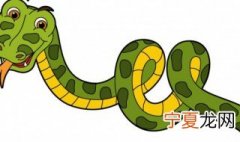 梦见被蛇咬是什么意思周公解梦 梦见被蛇咬的解释