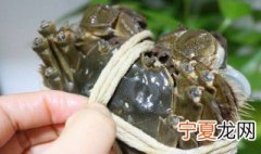 螃蟹需要刷洗吗 清洗大闸蟹的方法