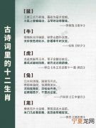 形容12生肖诗 描写十二生肖的诗