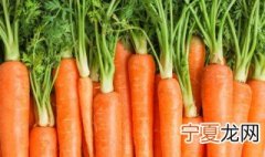 广红是什么菜 广菜是哪里的