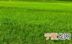 深圳中医院怎么样 深圳最大医院是哪个医院