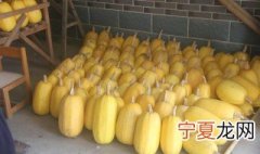 崇明金瓜季节 崇明金瓜几月份上市