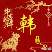 12生肖恶搞真人 十二生肖搞怪头像