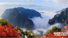 路桥九龙花海为什么拆啦 黄岩九龙花海