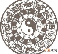 太极12生肖陀螺 十二生肖太极拳