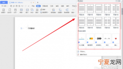 wps首页不显示页码怎么设置