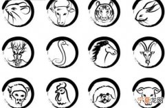 12生肖简约图 12生肖简易图