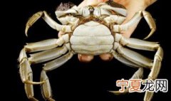 教你保存螃蟹的好方法 如何保存螃蟹