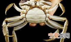 螃蟹怎么做清洗最干净 怎么做清洗螃蟹最干净