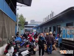 小榄哪里有烘焙市场卖 小榄那里有卖烘焙的材料