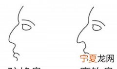 鹰钩鼻性格特点 鹰钩鼻性格特点介绍