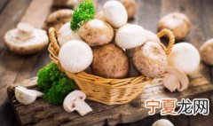 为什么说海鲜菇会中毒的原因 为什么说海鲜菇会中毒