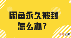 闲鱼能咋地注销账号