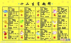 12生肖解析图 12生肖注解