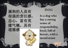 12生肖的文章 十二生肖文字版