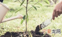 改造自然和征服自然的区别 征服自然改造自然是谁说的