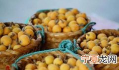 吃完枇杷核能种吗什么时候种 吃枇杷剩下的核能种吗