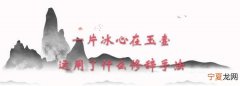 一片冰心在玉壶的上一句，一片冰心右玉壶的前一句？