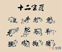 12生肖玄机大全 十二生肖玄机字如何解