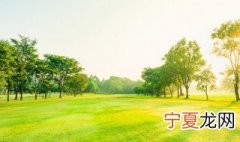 景观的基本构成要素是哪些 自然景观的构成要素有哪些