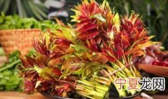 香椿保存法的做法 如何保存香椿