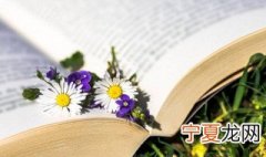 女生网名简短冷淡4个字带符号 女生网名简短冷淡4个字