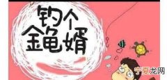 无端嫁得金龟婿下一句，无端嫁得金龟婿一共多少集？