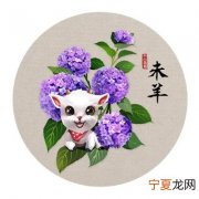 12生肖花开版 十二生肖的生肖花
