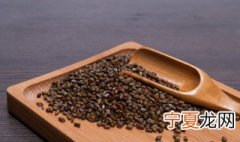 决明子的种子怎么种 决明子种子怎么种