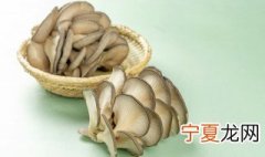 种植蘑菇可以吃吗 蘑菇盆栽怎么种植一周就可以吃