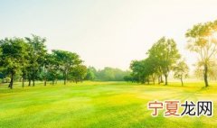 绿色是什么颜色调出来的 绿色是什么颜色才能调出来