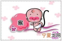 12生肖念什么 请问一下12生肖是怎么读的