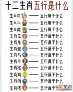 看看12生肖配对 史上最全最精准的12生肖配对查询表