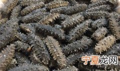 海参干如何泡发 海参干要怎样泡发