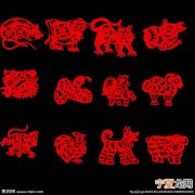 12生肖体质表 十二生肖体质